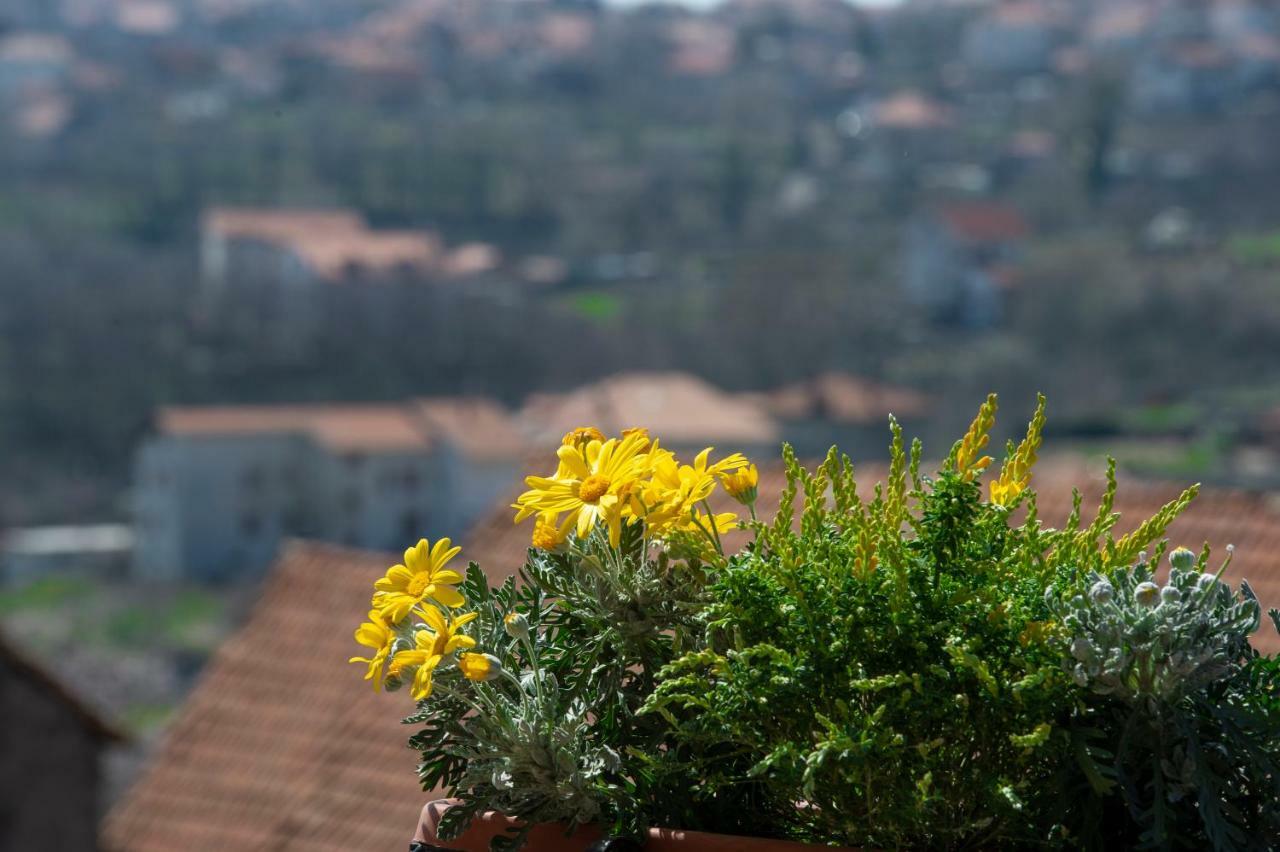 Appartamenti Aria Di Verde Agerola Dış mekan fotoğraf